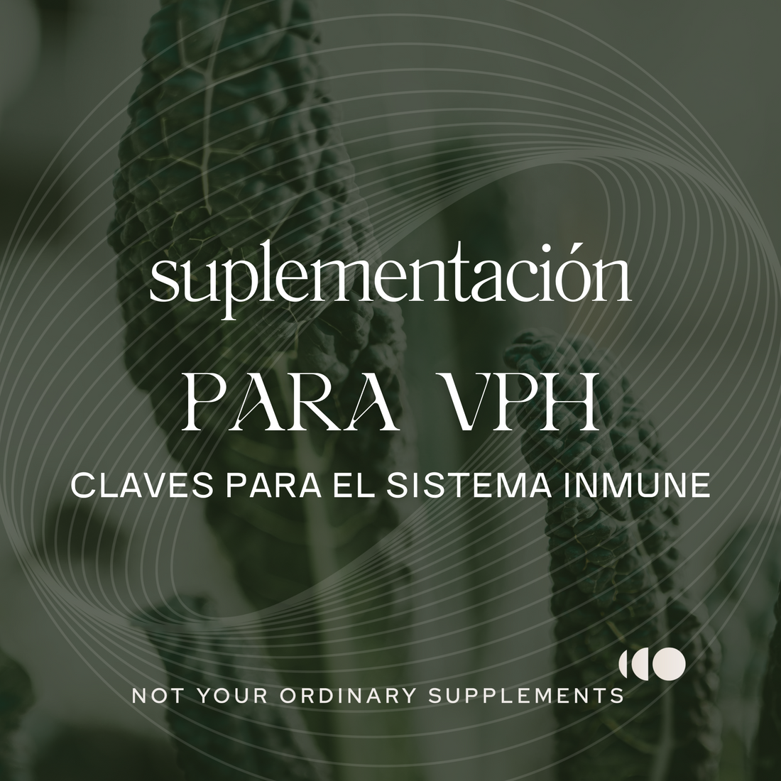 Suplementación para el VPH: Nutrientes Claves para el Sistema Inmunológico