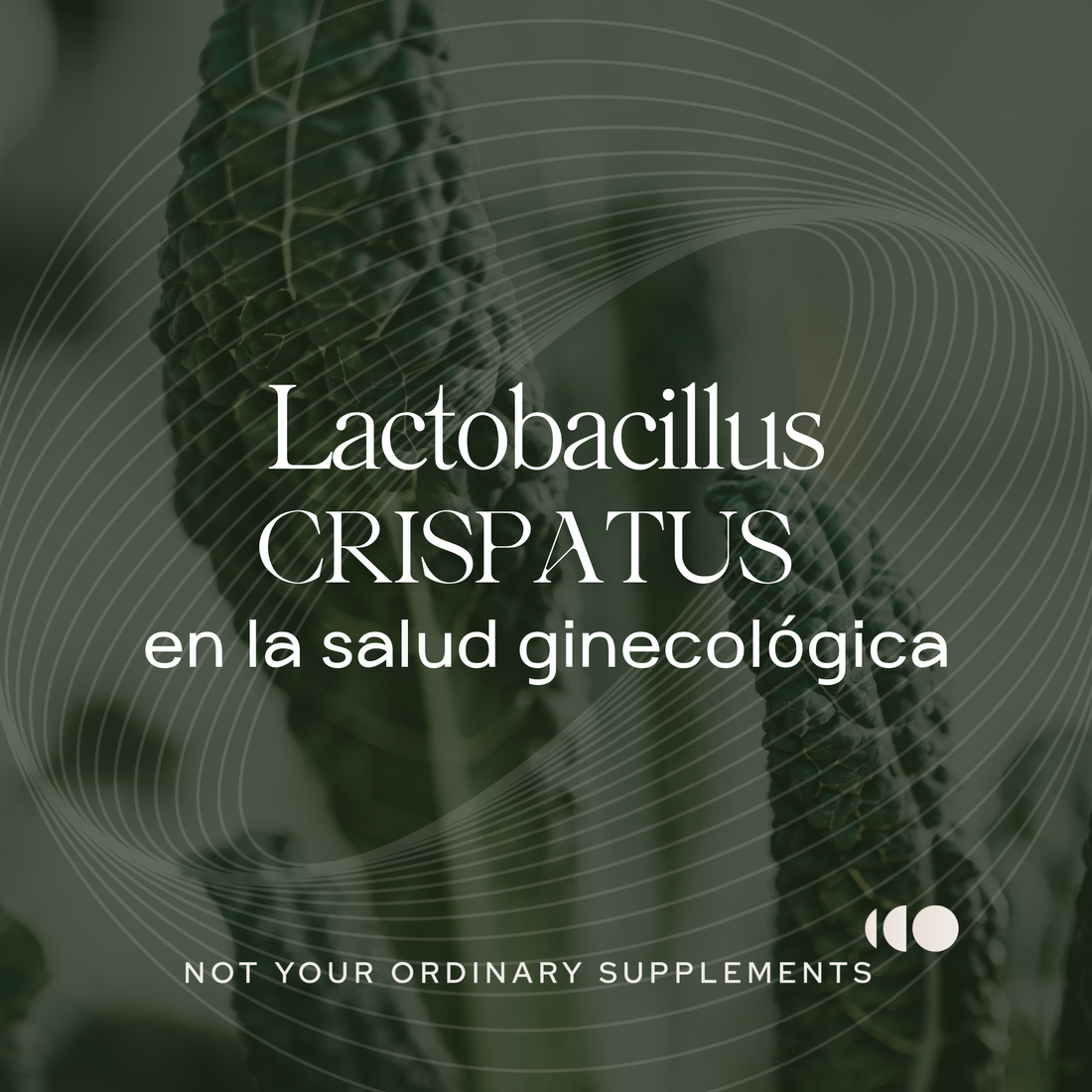 El poder de los probióticos: Lactobacillus crispatus en la salud ginecológica