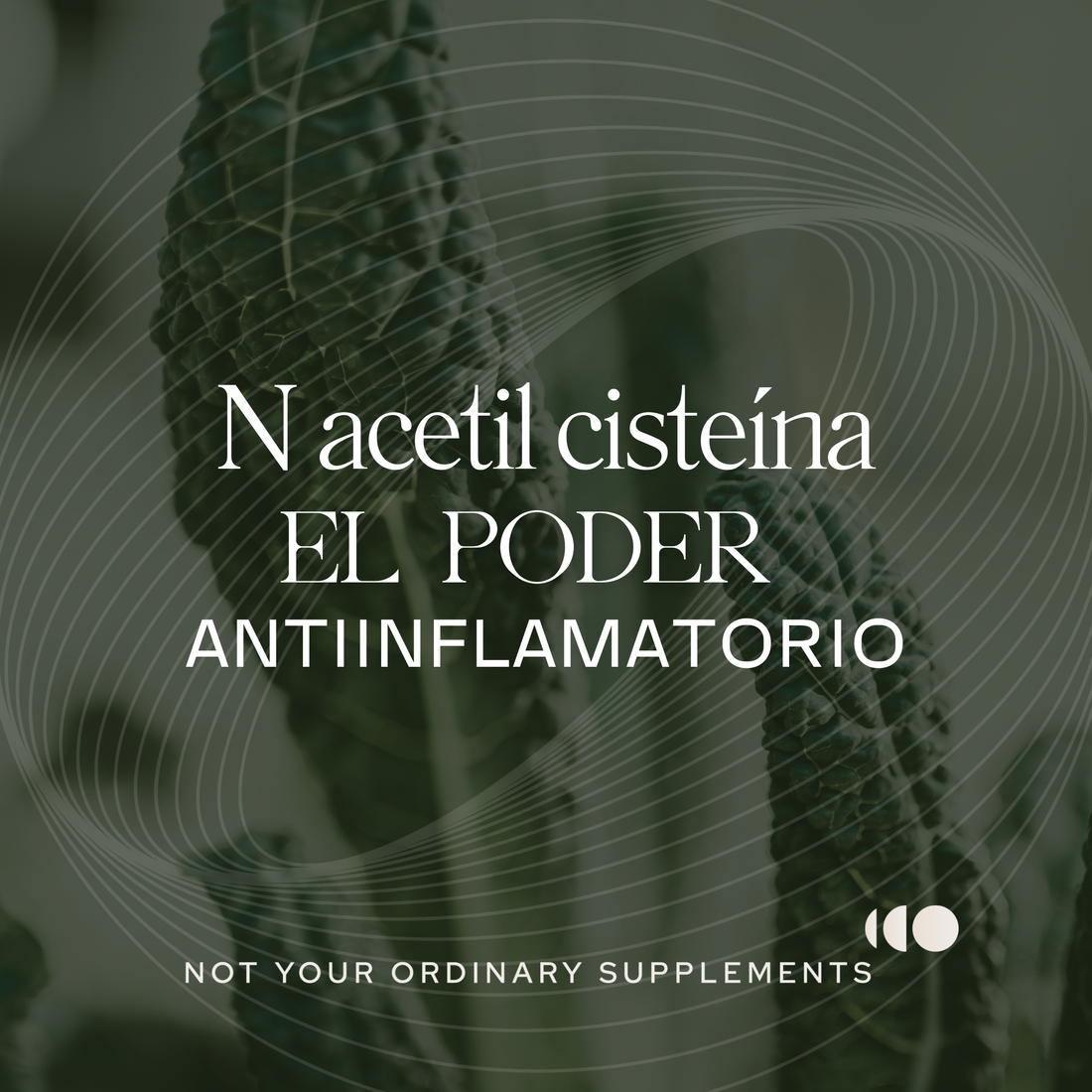 Beneficios de N acetil cisteína (NAC) en INMOONY