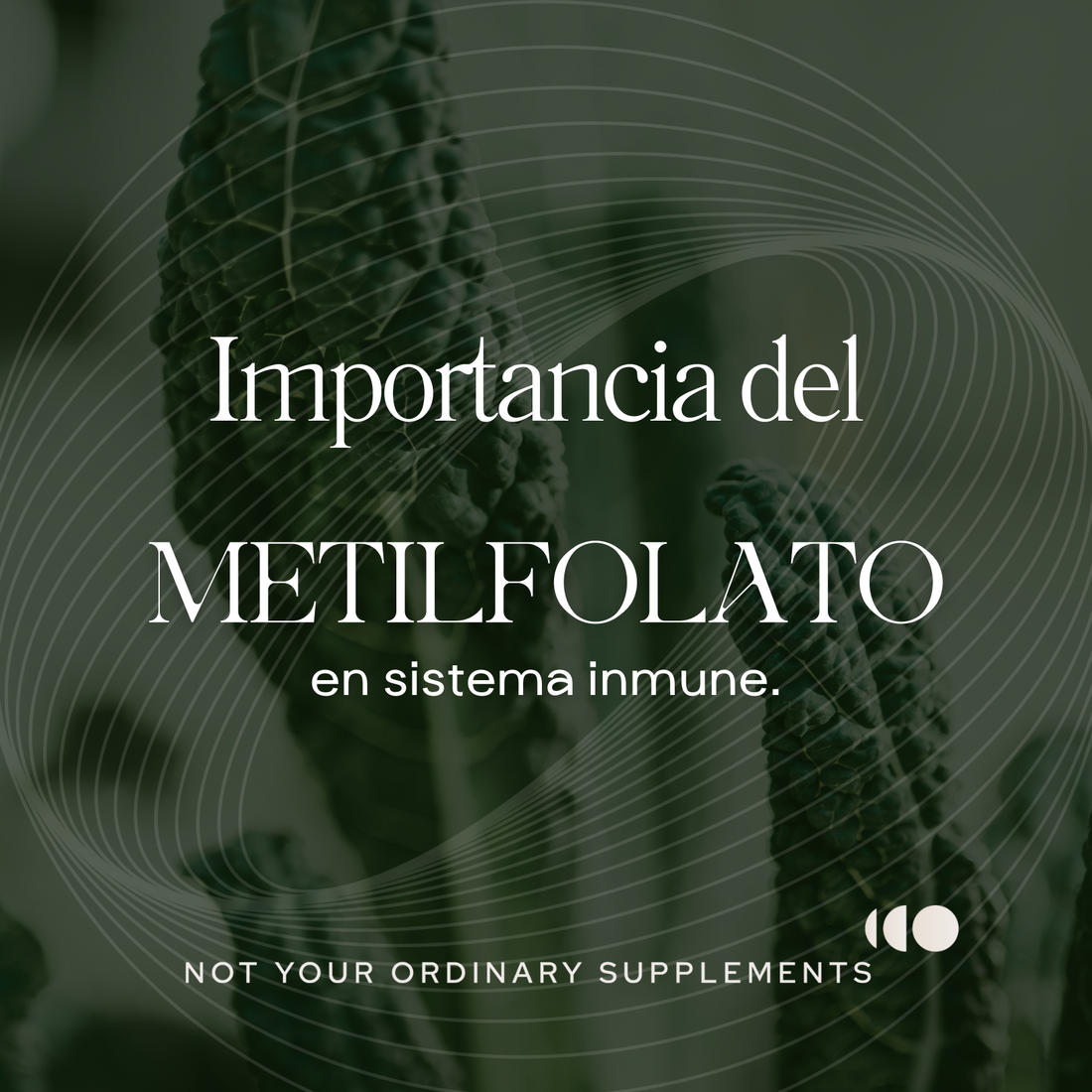 Importancia del metilfolato en el sistema inmune